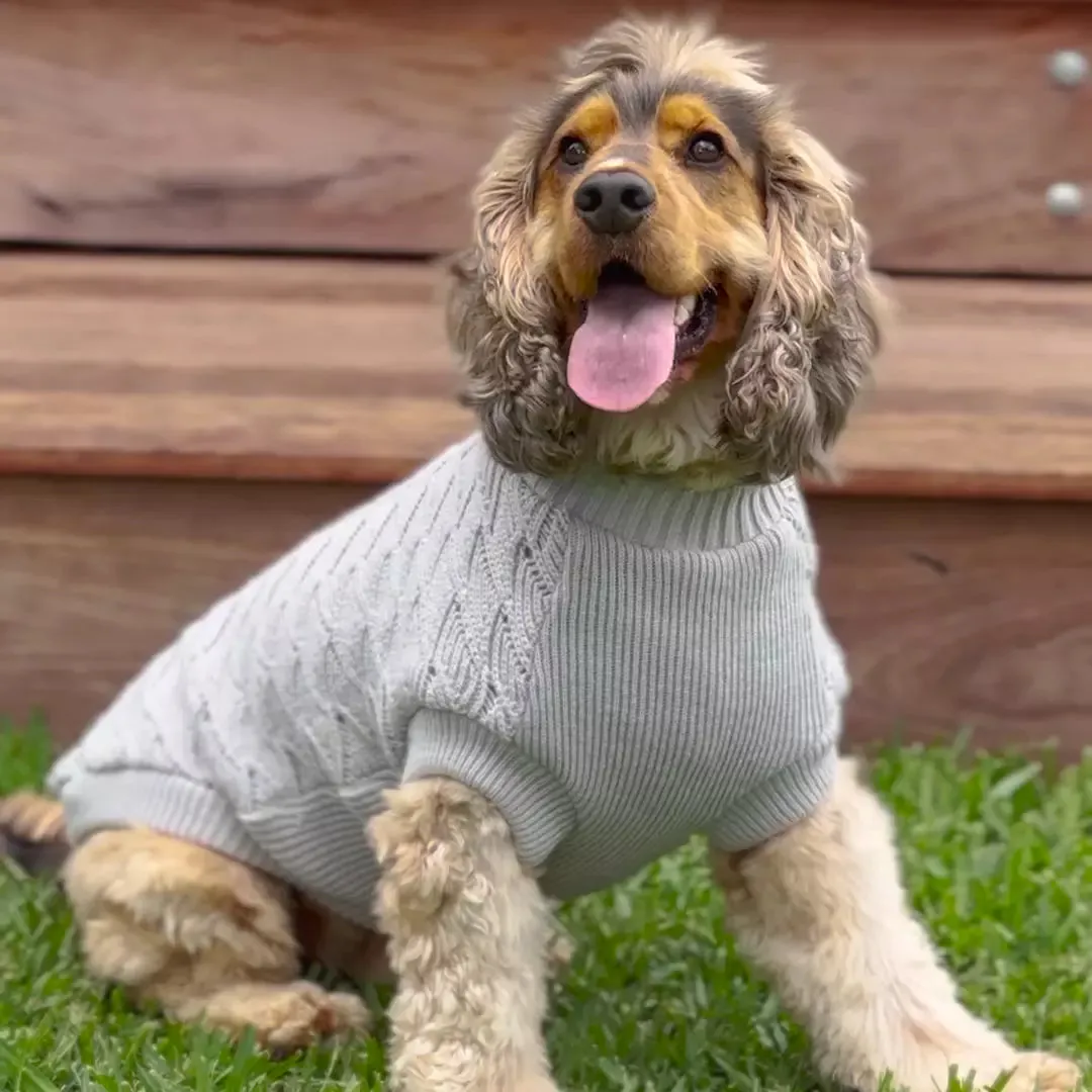 Grey Wave Dog Jumper