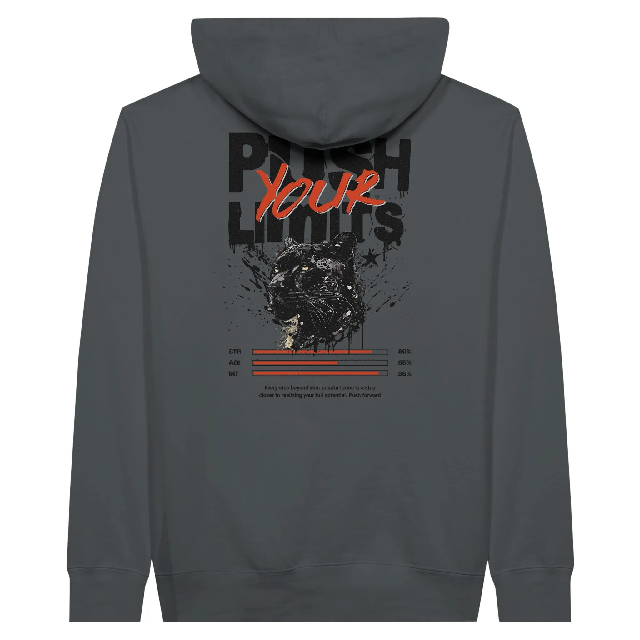 Push Your Limits Unisex Pullover Hoodie